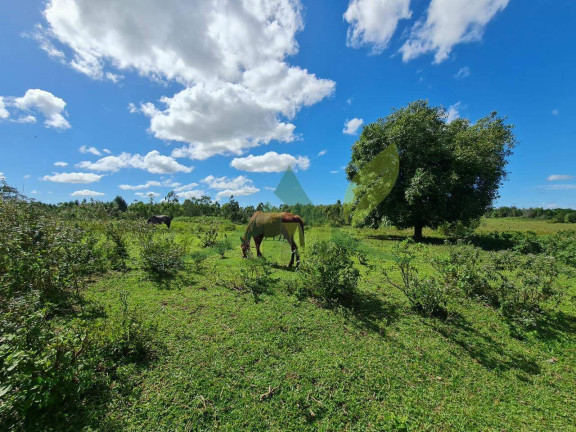 Imagem Fazenda à Venda, 1.258.400 m² em Centro - Araruama Imagem Fazenda à Venda, 1.258.400 m² em Centro - Araruama