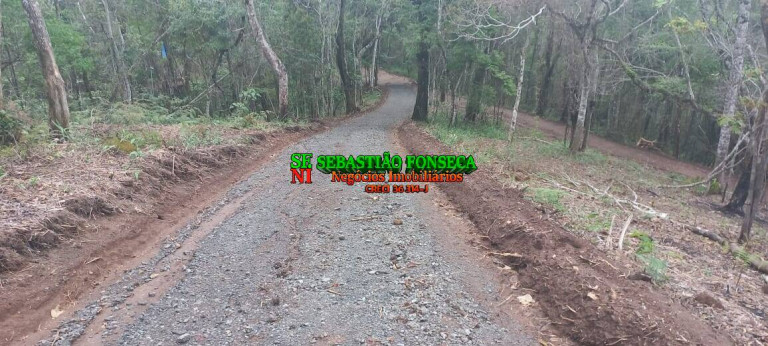 Imagem Chácara à Venda, 20.000 m² em Centro - Monteiro Lobato Imagem Chácara à Venda, 20.000 m² em Centro - Monteiro Lobato