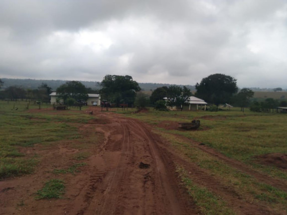 Imagem Fazenda à Venda, 730 m² em Rural - Corguinho