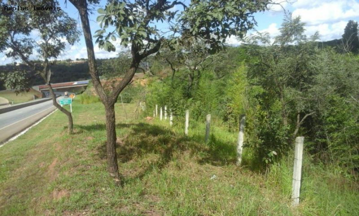 Imagem Imóvel à Venda, 4.950 m² em Vila Suzana - Mateus Leme