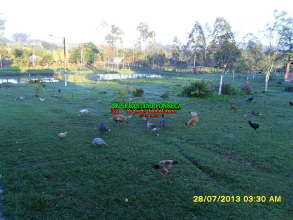 Imagem Chácara à Venda, 13.000 m² em Centro - Caçapava Imagem Chácara à Venda, 13.000 m² em Centro - Caçapava