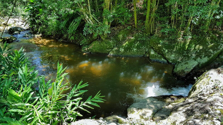 Imagem Chácara à Venda, 330 m² em Palhoça Imagem Chácara à Venda, 330 m² em Palhoça