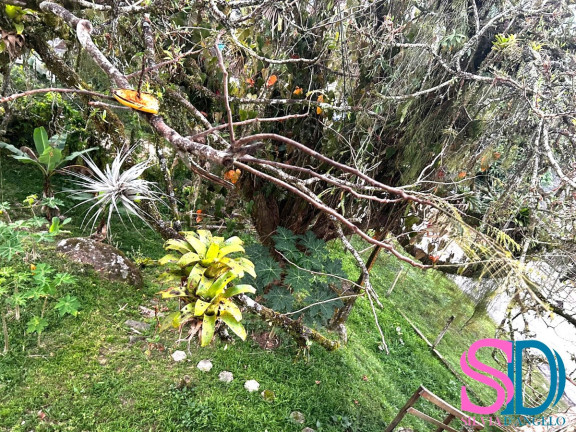 Terreno à Venda, 500 m² em Jardim Ubatuba - Ubatuba
