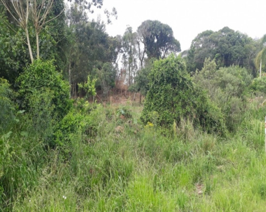 Imagem Imóvel à Venda, 450 m² em Vila Germânia - Nova Petrópolis Imagem Imóvel à Venda, 450 m² em Vila Germânia - Nova Petrópolis