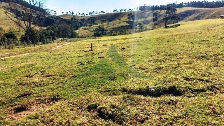 Imagem Fazenda à Venda, 2.420.000 m² em Cambuí - Cambuí Imagem Fazenda à Venda, 2.420.000 m² em Cambuí - Cambuí