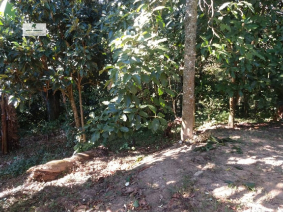 Imagem Casa com 2 Quartos à Venda, 250 m² em Jardim Vitoria - Mairinque