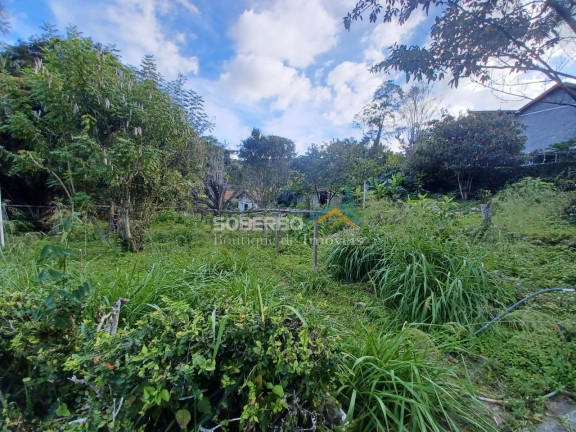 Imagem Casa com 3 Quartos à Venda, 2.520 m² em Posse - Teresópolis Imagem Casa com 3 Quartos à Venda, 2.520 m² em Posse - Teresópolis