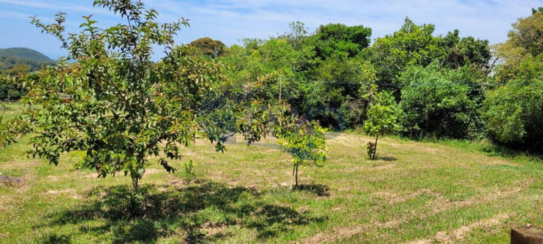 Imagem Fazenda à Venda, 3.000 m² em águas Claras - Torres
