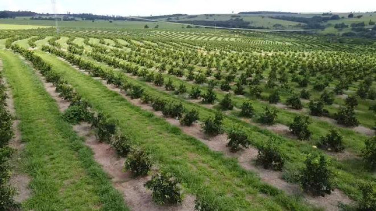 Imagem Fazenda à Venda, 121 m² em Rio Pardo - águas De Santa Bárbara Imagem Fazenda à Venda, 121 m² em Rio Pardo - águas De Santa Bárbara