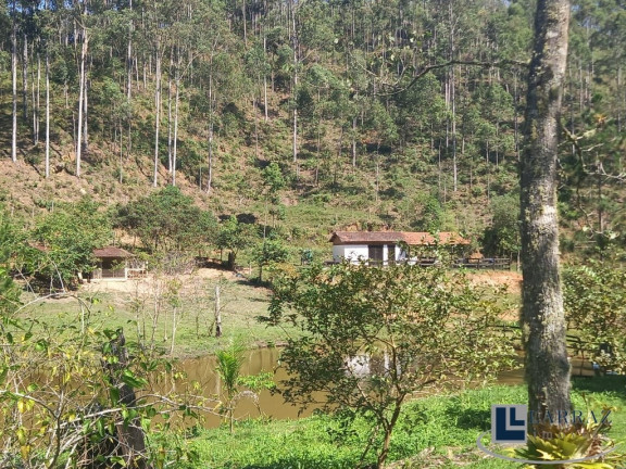 Imagem Imóvel com 8 Quartos à Venda, 13 m² em Area Rural De Natividade Da Serra - Natividade Da Serra Imagem Imóvel com 8 Quartos à Venda, 13 m² em Area Rural De Natividade Da Serra - Natividade Da Serra