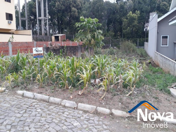 Imagem Imóvel à Venda, 448 m² em Pousada Da Neve - Nova Petrópolis Imagem Imóvel à Venda, 448 m² em Pousada Da Neve - Nova Petrópolis