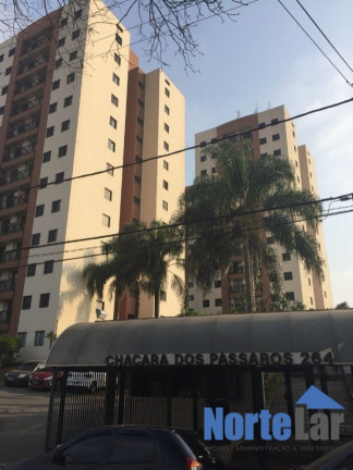 Imagem Apartamento com 3 Quartos à Venda, 68 m² em Vila Carbone - São Paulo Imagem Apartamento com 3 Quartos à Venda, 68 m² em Vila Carbone - São Paulo