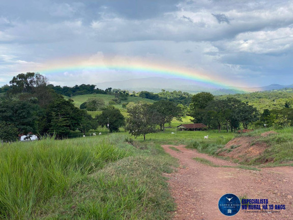 Imagem Fazenda à Venda, 214 m² em Zona Rural - Israelândia Imagem Fazenda à Venda, 214 m² em Zona Rural - Israelândia