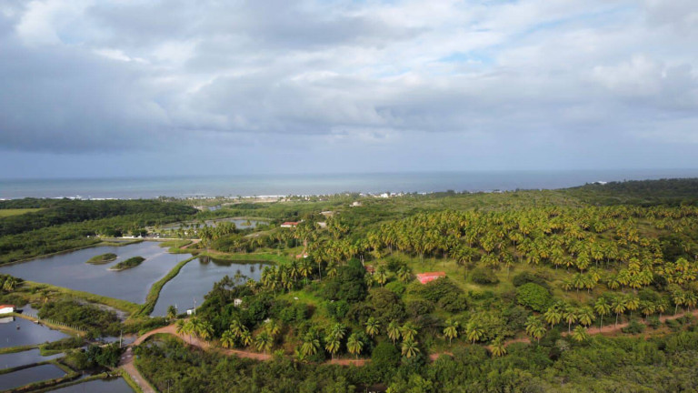 Imagem Casa com 2 Quartos à Venda, 4.000 m² em Centro - Tibau Do Sul Imagem Casa com 2 Quartos à Venda, 4.000 m² em Centro - Tibau Do Sul