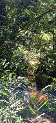 Imagem Chácara à Venda, 63.000 m² em Centro - Santa Branca Imagem Chácara à Venda, 63.000 m² em Centro - Santa Branca