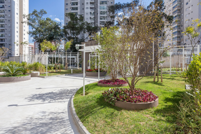 Imagem Imóvel com 3 Quartos à Venda, 91 m² em Morumbi - São Paulo Imagem Imóvel com 3 Quartos à Venda, 91 m² em Morumbi - São Paulo
