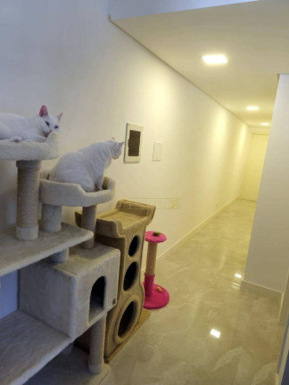 Imagem Apartamento com 3 Quartos à Venda, 79 m² em Praia De Fora - Palhoça Imagem Apartamento com 3 Quartos à Venda, 79 m² em Praia De Fora - Palhoça