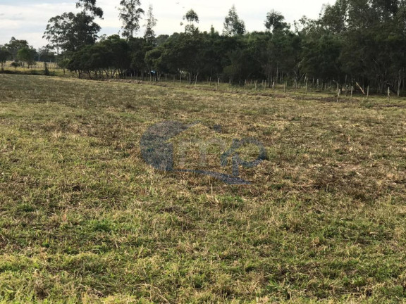 Imagem Fazenda à Venda, 120.000 m² em Jacaré - Torres