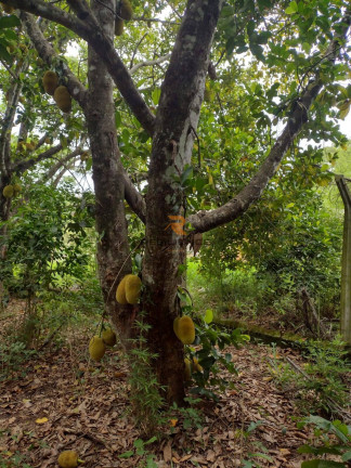 Imagem Terreno à Venda, 6 m² em Campinho - Lagoa Santa Imagem Terreno à Venda, 6 m² em Campinho - Lagoa Santa