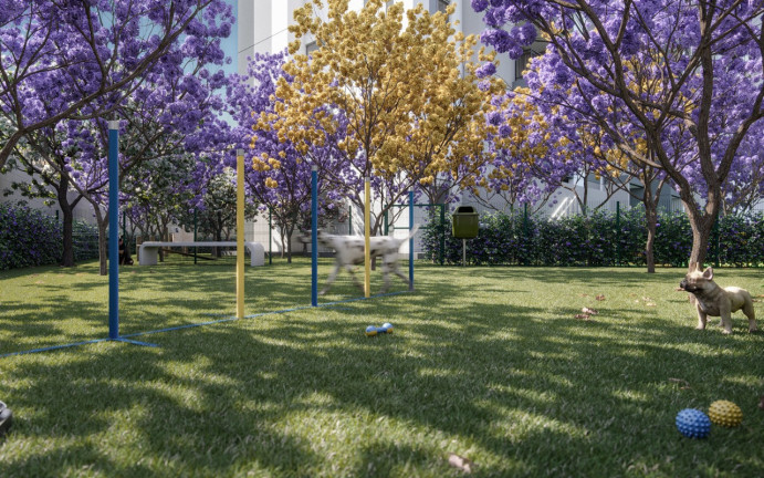 Imagem Imóvel com 1 Quarto à Venda, 26 m² em Barra Funda - São Paulo Imagem Imóvel com 1 Quarto à Venda, 26 m² em Barra Funda - São Paulo