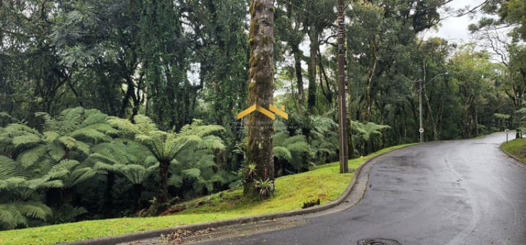Imagem Terreno à Venda, 1.093 m² em Floresta - Gramado Imagem Terreno à Venda, 1.093 m² em Floresta - Gramado