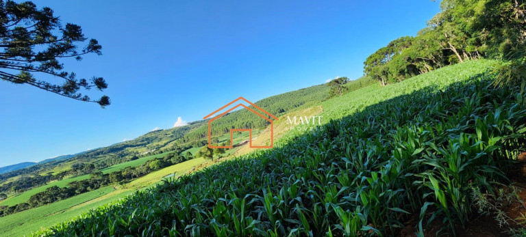 Imagem Imóvel à Venda, 860.000 m² em Interior - Cerro Negro Imagem Imóvel à Venda, 860.000 m² em Interior - Cerro Negro