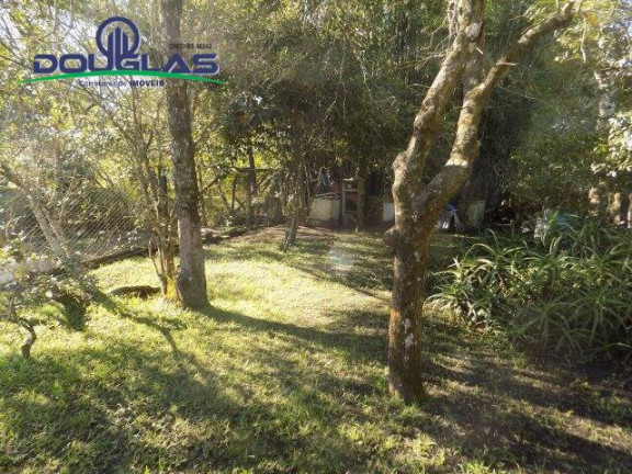 Imagem Casa com 1 Quarto à Venda, 600 m² em Viamão Imagem Casa com 1 Quarto à Venda, 600 m² em Viamão