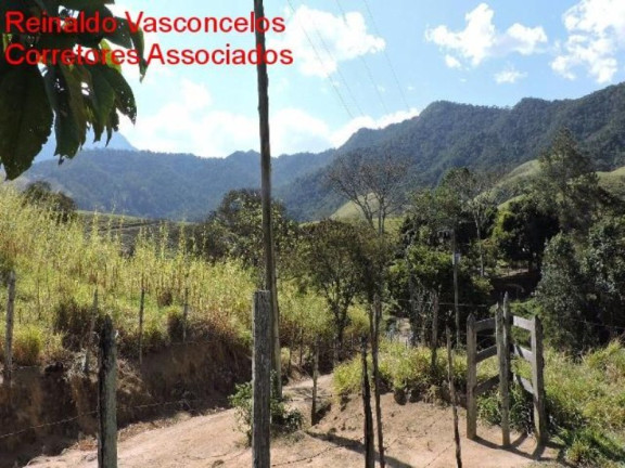 Imagem Imóvel com 3 Quartos à Venda, 3.872.000 m² em Passa Vinte - Cruzeiro Imagem Imóvel com 3 Quartos à Venda, 3.872.000 m² em Passa Vinte - Cruzeiro