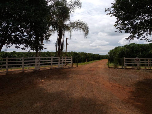 Imagem Fazenda à Venda, 60 m² em Piumhi Imagem Fazenda à Venda, 60 m² em Piumhi