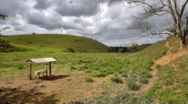 Imagem Imóvel à Venda, em área Rural - Macaé Imagem Imóvel à Venda, em área Rural - Macaé