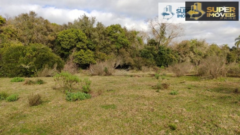 Imagem Imóvel com 2 Quartos à Venda, 580.000 m² em Centro - Canguçu