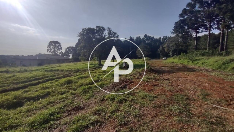 Imagem Terreno à Venda, 3.080 m² em Cará-cará - Ponta Grossa