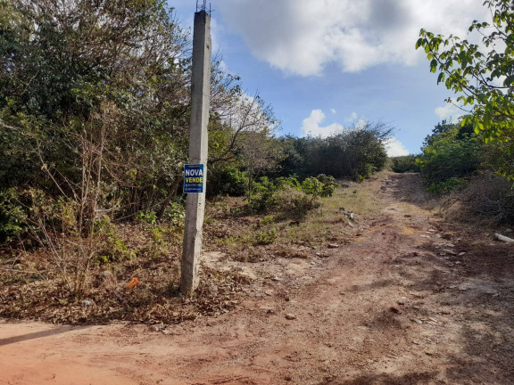 Imagem Terreno à Venda, 6.000 m² em Tibau Do Sul Imagem Terreno à Venda, 6.000 m² em Tibau Do Sul