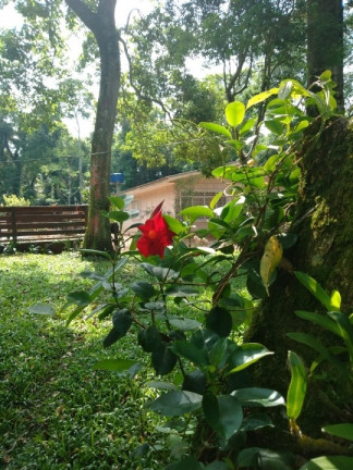 Imagem Chácara com 3 Quartos à Venda, 8.000 m² em Zona Rural - Cascavel