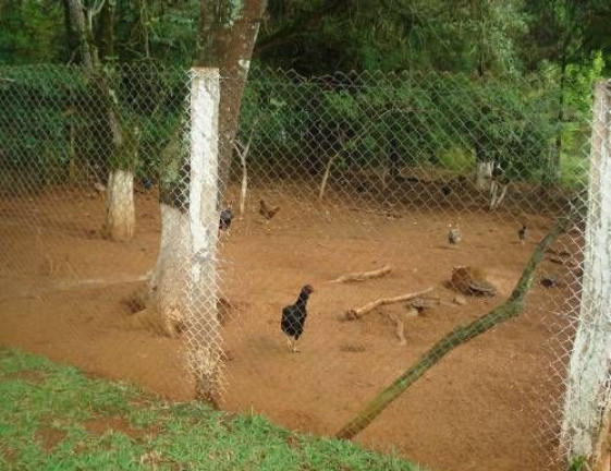 Imagem Imóvel com 5 Quartos à Venda, 300 m² em Fazenda Velha - Cesário Lange Imagem Imóvel com 5 Quartos à Venda, 300 m² em Fazenda Velha - Cesário Lange