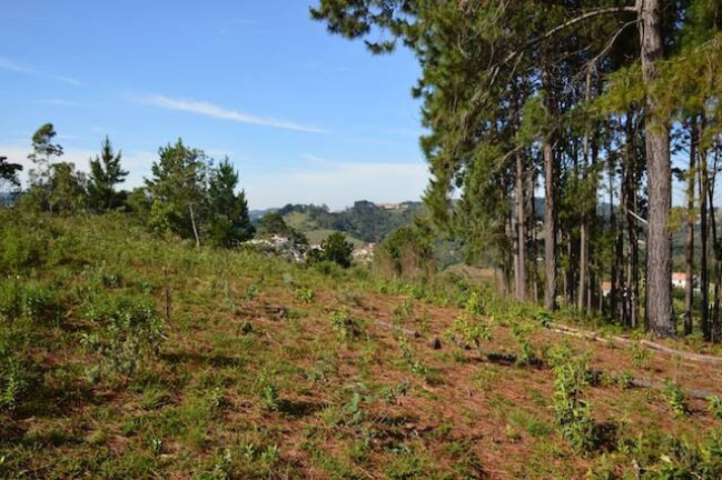 Imagem Terreno à Venda, 75 m² em Vale Encantado - Campos Do Jordão Imagem Terreno à Venda, 75 m² em Vale Encantado - Campos Do Jordão