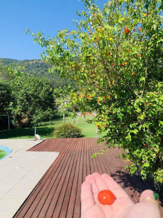 Imagem Chácara com 3 Quartos à Venda, 300 m² em Ratones - Florianópolis Imagem Chácara com 3 Quartos à Venda, 300 m² em Ratones - Florianópolis