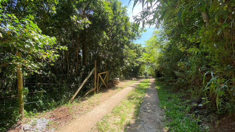 Imagem Terreno à Venda, 3.418 m² em Praia Do Rosa - Imbituba