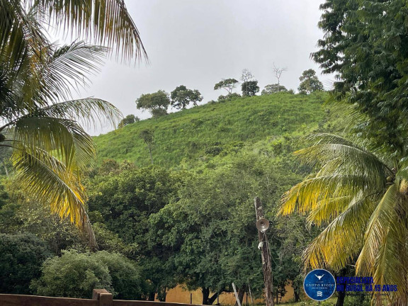 Imagem Fazenda à Venda, 33 m² em Zona Rural - Goiás Imagem Fazenda à Venda, 33 m² em Zona Rural - Goiás