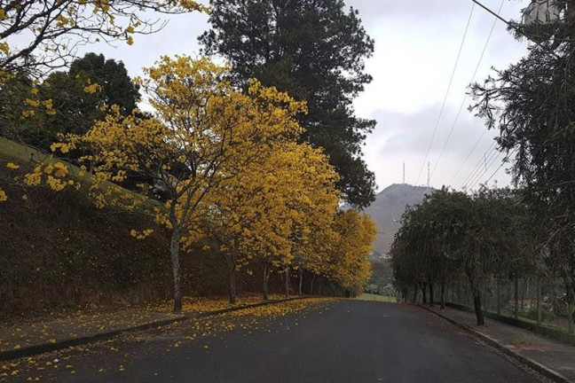 Imagem Terreno à Venda, 400 m² em Girardelli - Monte Alegre Do Sul