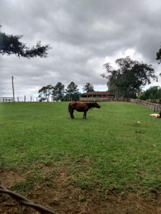 Imagem Fazenda à Venda, 363 m² em Rural - Ortigueira