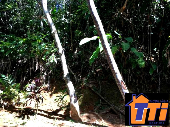 Imagem Terreno à Venda, 1.010 m² em Toninhas - Ubatuba Imagem Terreno à Venda, 1.010 m² em Toninhas - Ubatuba