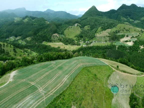 Imagem Imóvel com 2 Quartos à Venda, 425.000 m² em Zona Rural - Alfredo Wagner Imagem Imóvel com 2 Quartos à Venda, 425.000 m² em Zona Rural - Alfredo Wagner