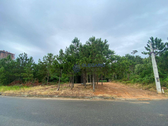Imagem Terreno à Venda, 1.995 m² em Centro - Penha Imagem Terreno à Venda, 1.995 m² em Centro - Penha