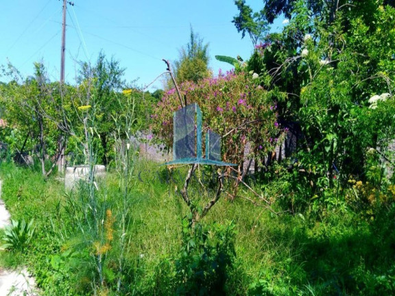 Imagem Imóvel com 2 Quartos à Venda, 2.500 m² em Andiroba - Esmeraldas Imagem Imóvel com 2 Quartos à Venda, 2.500 m² em Andiroba - Esmeraldas
