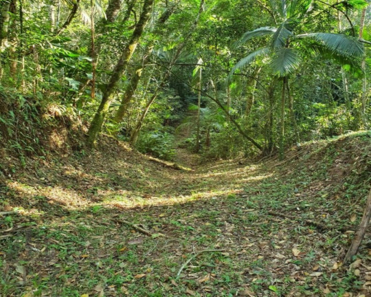 Imagem Terreno à Venda, 96.000 m² em Dom Joaquim - Brusque Imagem Terreno à Venda, 96.000 m² em Dom Joaquim - Brusque