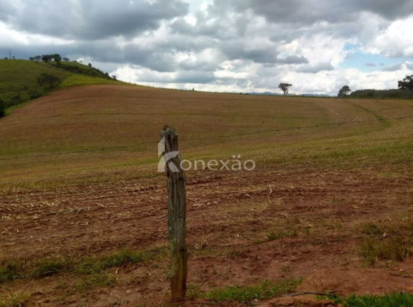 Imagem Fazenda à Venda, 100 m² em Borda Do Campo - Cunha Imagem Fazenda à Venda, 100 m² em Borda Do Campo - Cunha