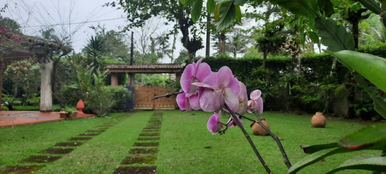 Imagem Casa com 4 Quartos à Venda, 160 m² em Tabatinga - Caraguatatuba Imagem Casa com 4 Quartos à Venda, 160 m² em Tabatinga - Caraguatatuba