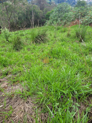 Imagem Terreno à Venda, 375 m² em Maravilha Iii - Santana De Parnaíba Imagem Terreno à Venda, 375 m² em Maravilha Iii - Santana De Parnaíba