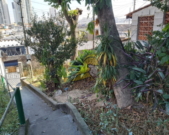 Imagem Terreno à Venda, 250 m² em Jardim Monte Kemel - São Paulo